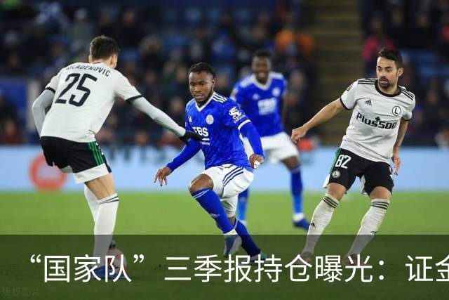 “国家队”三季报持仓曝光：证金重仓中国神华，社保基金增持中金岭南